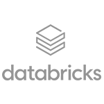 Databricks Partner